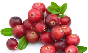 Photo of Fresh Cranberries