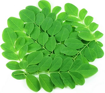 Photo of Moringa Leaves