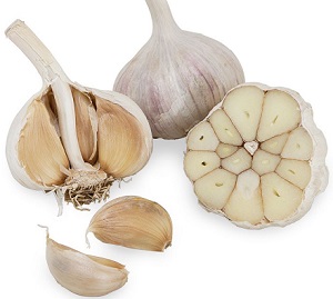 Photo of Fresh Garlic