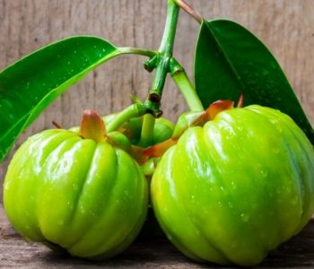 5 Incredible Health Benefits Of Garcinia Cambogia